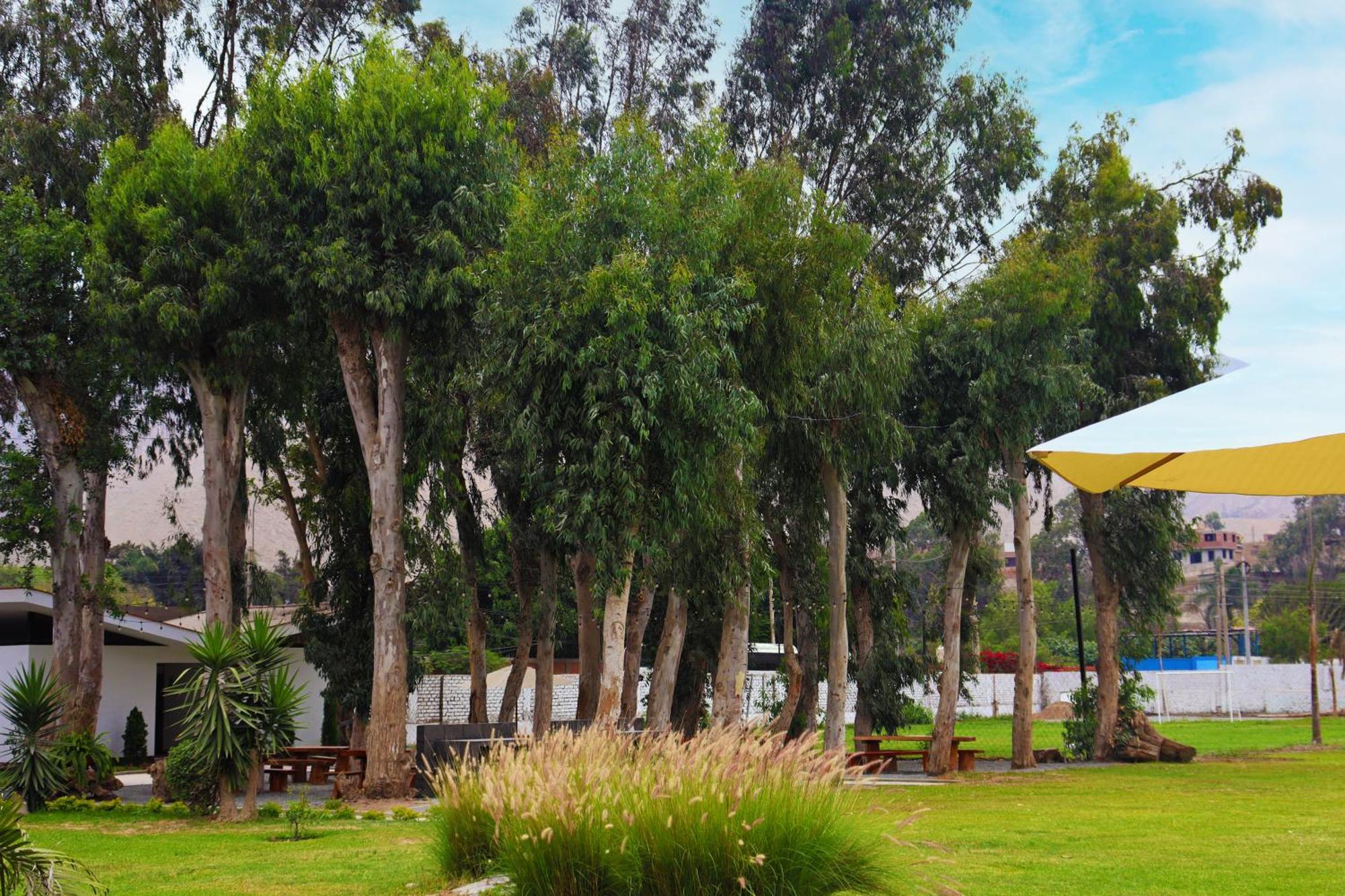 Los Andes - Restaurant & Bungalows Cieneguilla Dış mekan fotoğraf