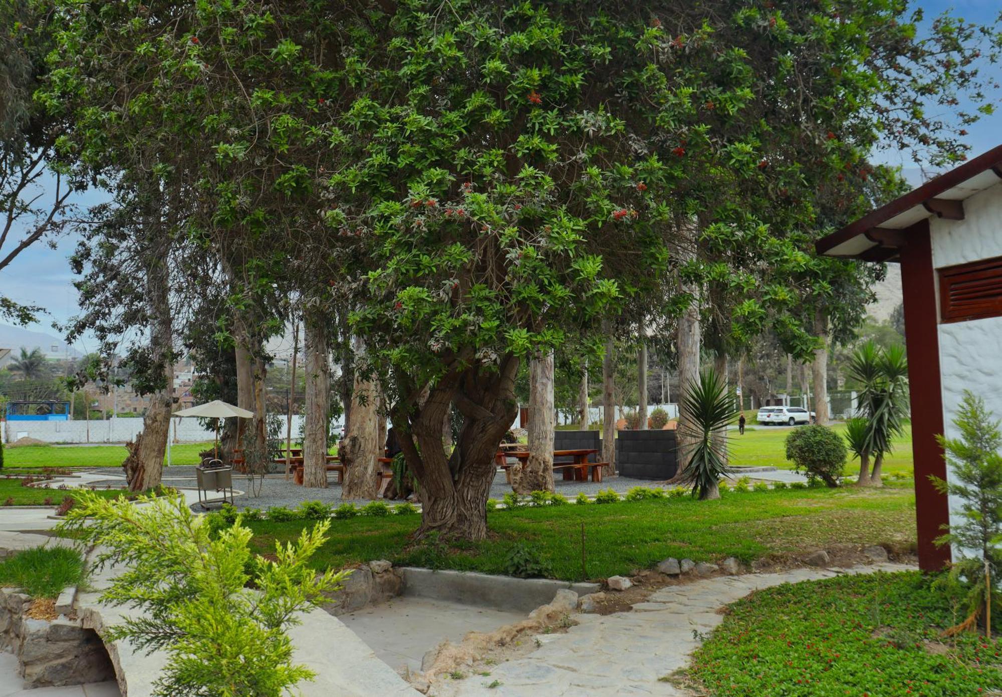 Los Andes - Restaurant & Bungalows Cieneguilla Dış mekan fotoğraf